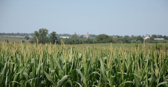 Estate Planning for Farmers and Ranchers